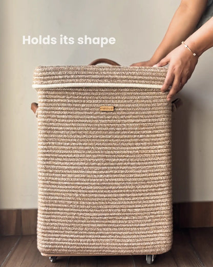 sturdy and holds its shape